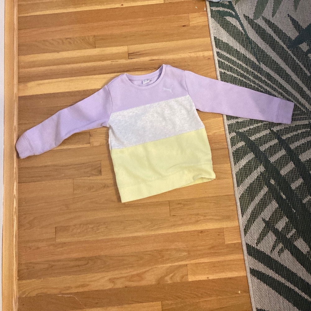 Puma crewneck hoodie